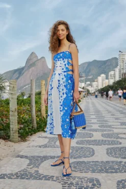 Farm Rio Blue Flower Stripes Midi Dress