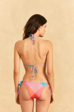 Farm Rio Blue Painted Birds Plaid Triangle Bikini Top -Farm Rio Shop 310548 04